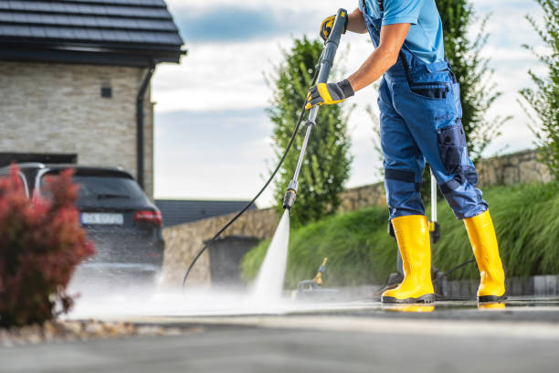 Best Dumpster Area Cleaning  in Pepeekeo, HI